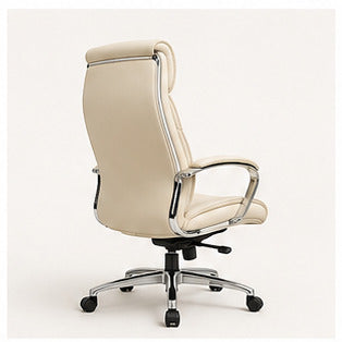 Aurelius Executive Ergonomic Chair