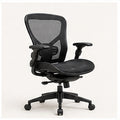 SpineEase Adaptive Posture Office Chair