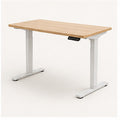 RiseFlow Electric Standing Desk