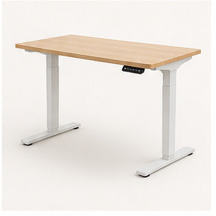 RiseFlow Electric Standing Desk