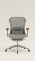 Ergonomic Mesh Office Chair with Lumbar Support